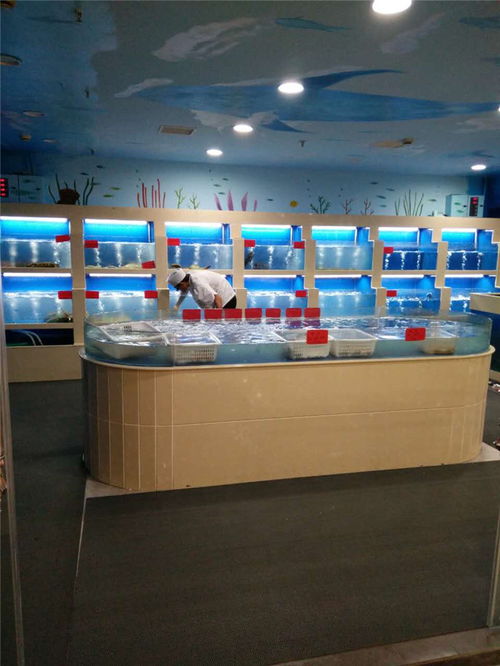 酒店海鮮池產(chǎn)品介紹與在線咨詢服務(wù)