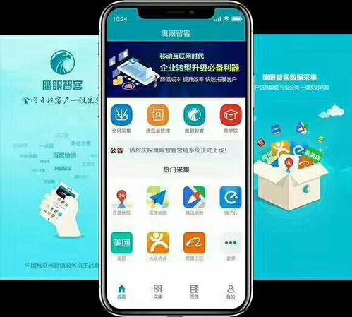 鷹眼智客App 837e 引領(lǐng)互聯(lián)網(wǎng)信息服務(wù)的創(chuàng)新力量